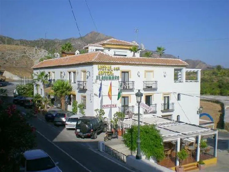 Apartamentos Playamaro Maro